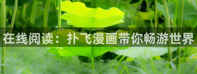 虫虫漫画免费浏览入口：在线阅读：扑飞漫画带你畅游世界